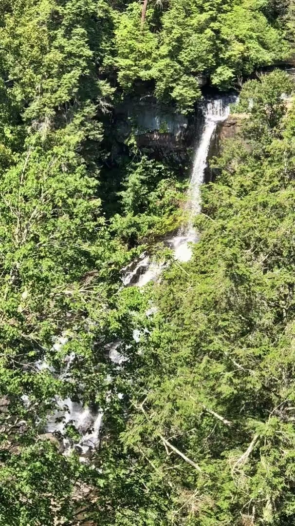 第二天早上前往一小时外的Fall Creek Falls State Park。这是公园内的第一个瀑布:Piney Falls