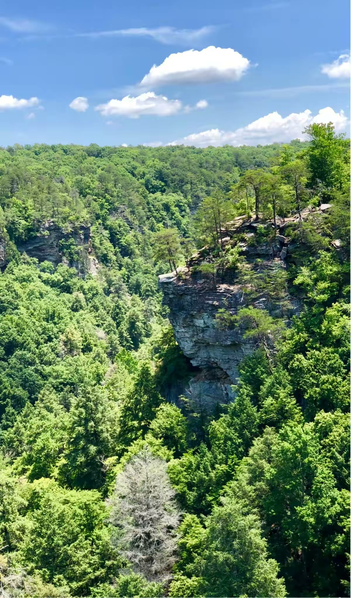 Fall Creek Falls Overlooks 观景平台