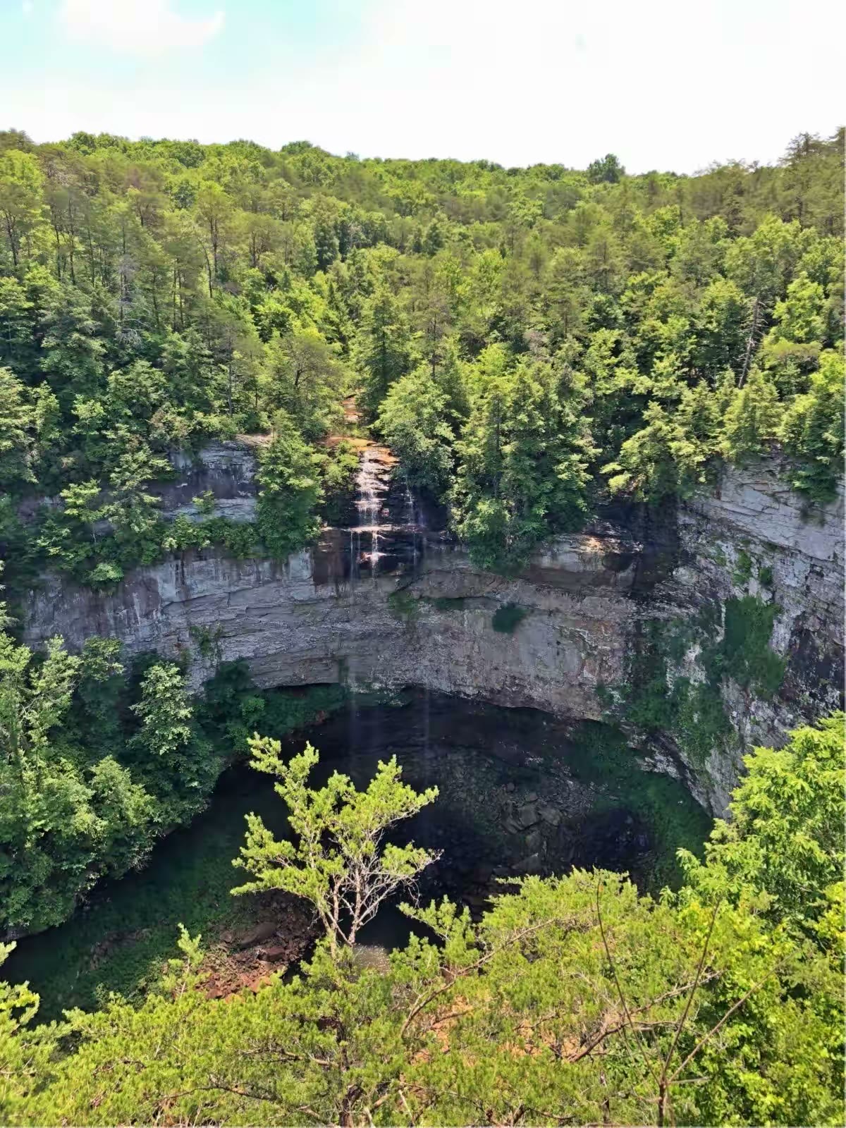 公园里的第二个瀑布,也是田州最高的瀑布Fall Creek Falls。可惜此时水细如丝。