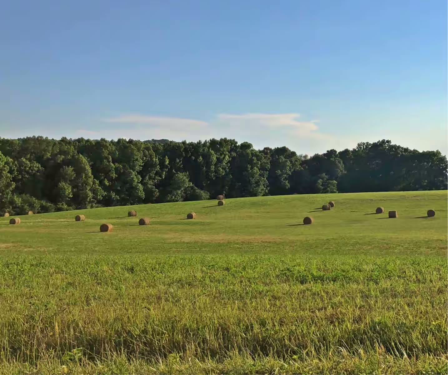 田州瀑布公园之行