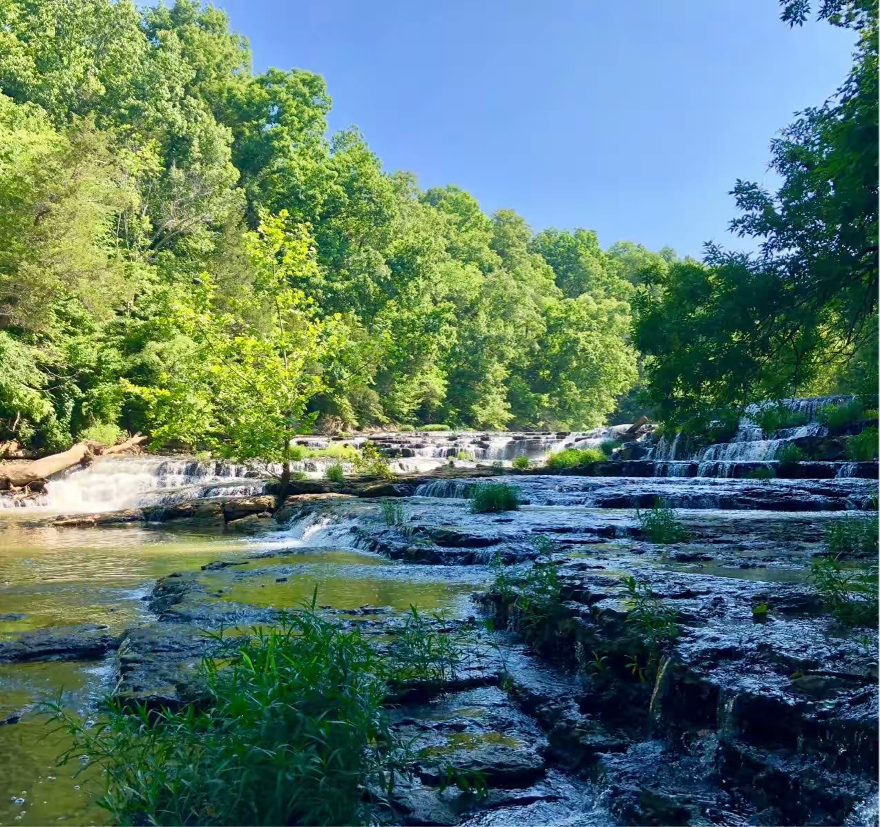 第三天早上去最后一个公园Burgess Falls State Park。公园里有三个不同落差的瀑布,这是第一级瀑布。