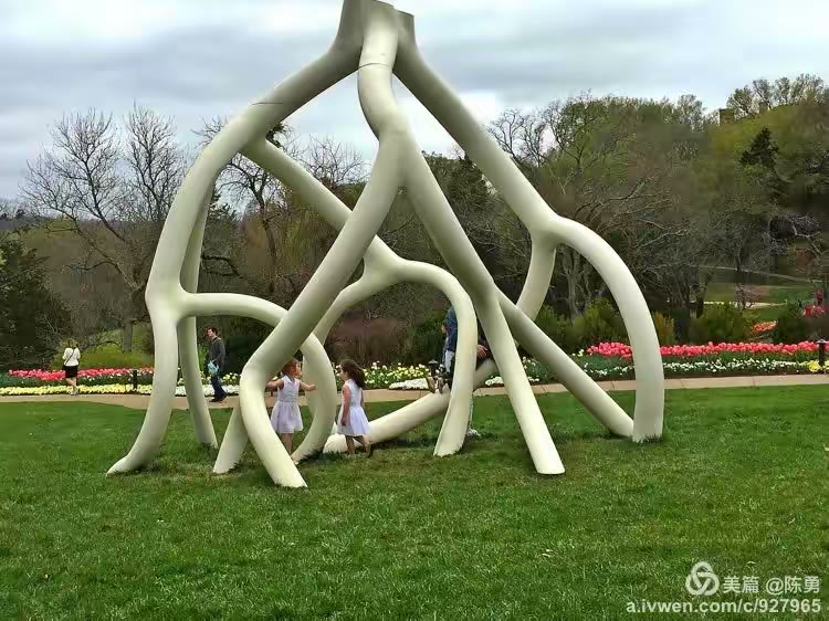 满园春色入镜来…