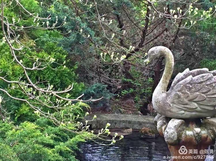 满园春色入镜来…