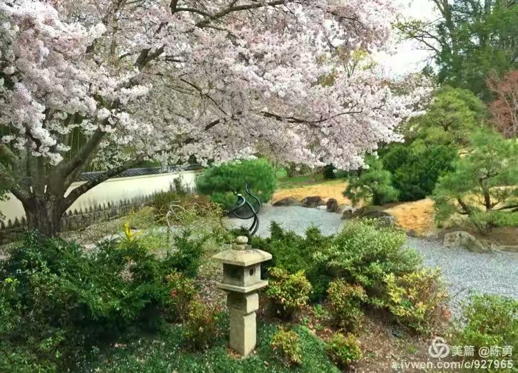 满园春色入镜来…
