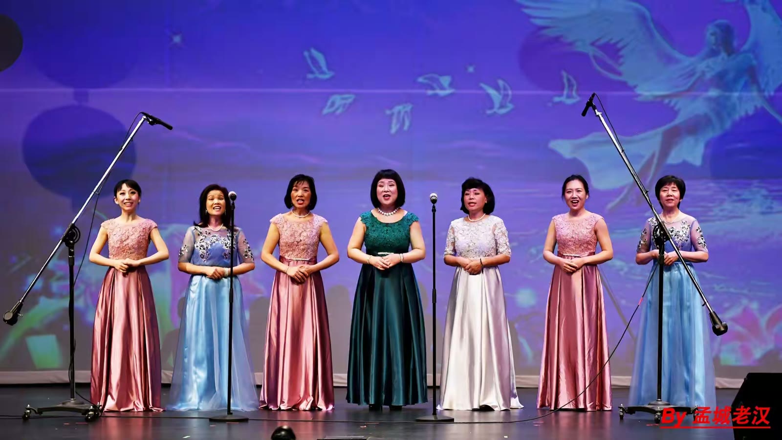2019孟菲斯华人春晚花絮