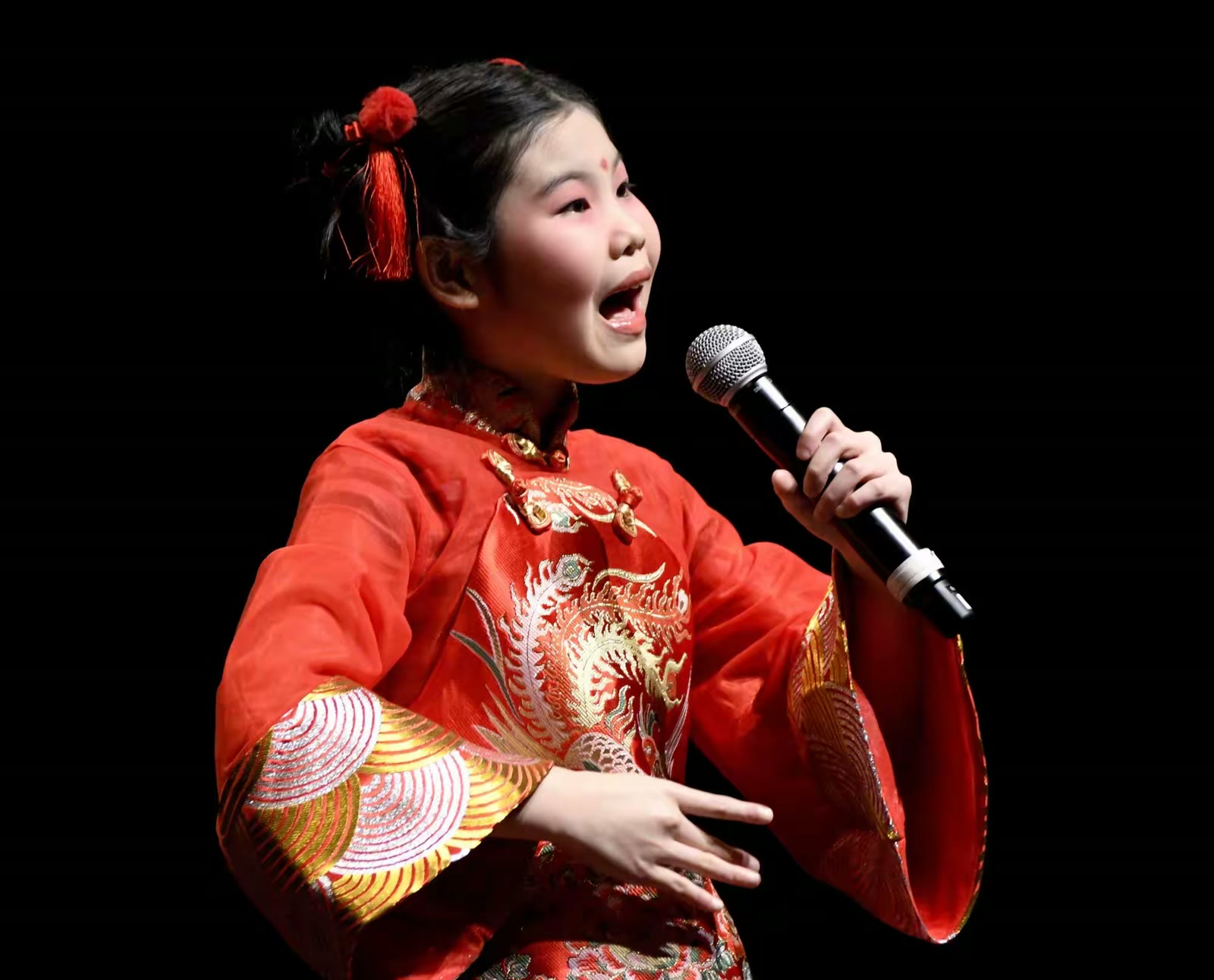 2019孟菲斯华人春晚花絮