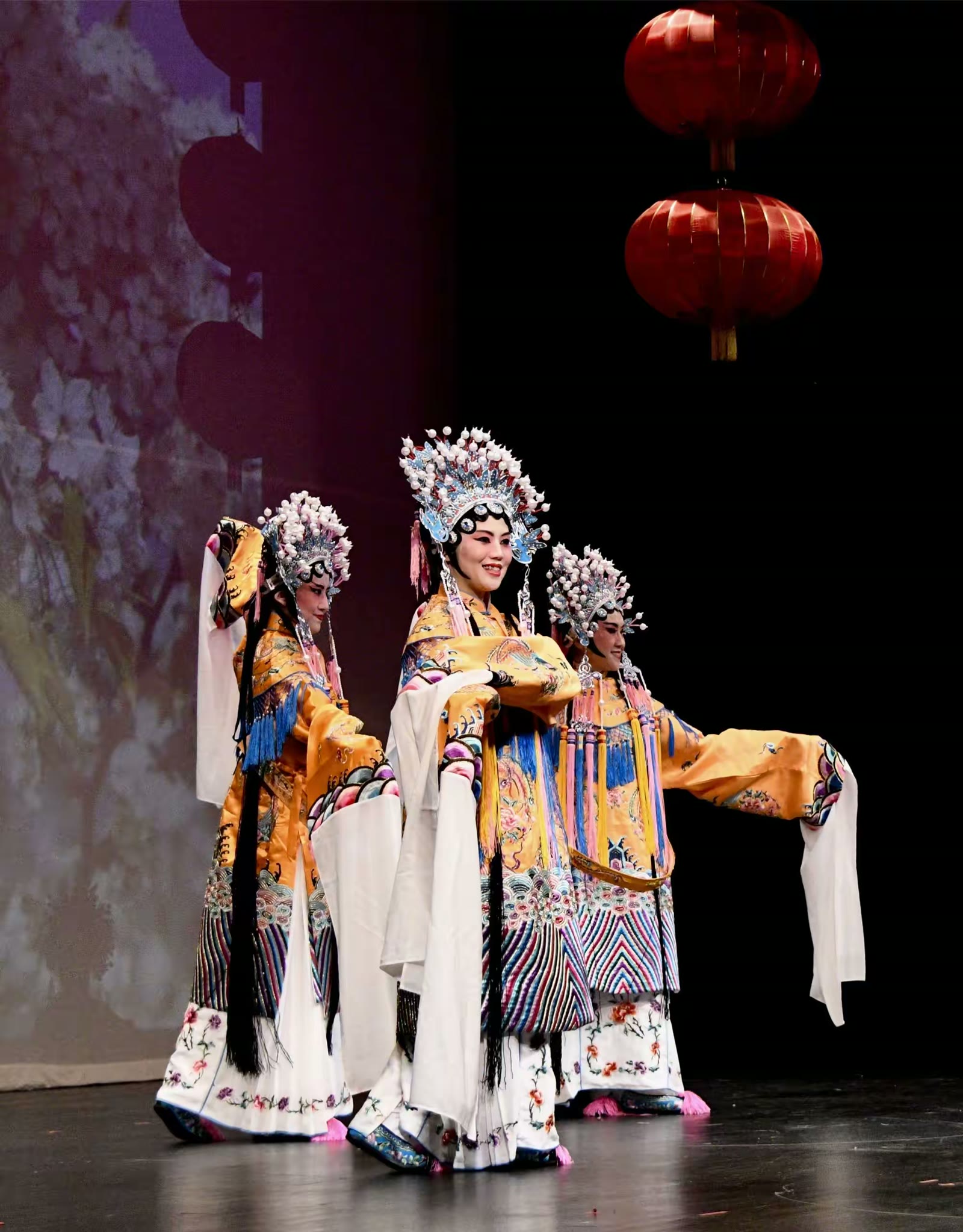 2019孟菲斯华人春晚花絮