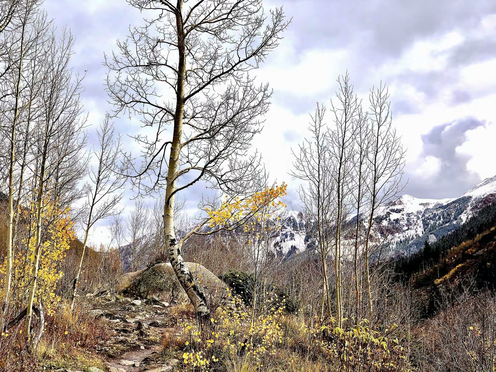Maroon Bells