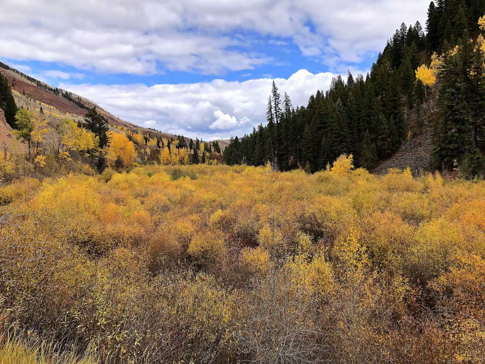 Maroon Bells