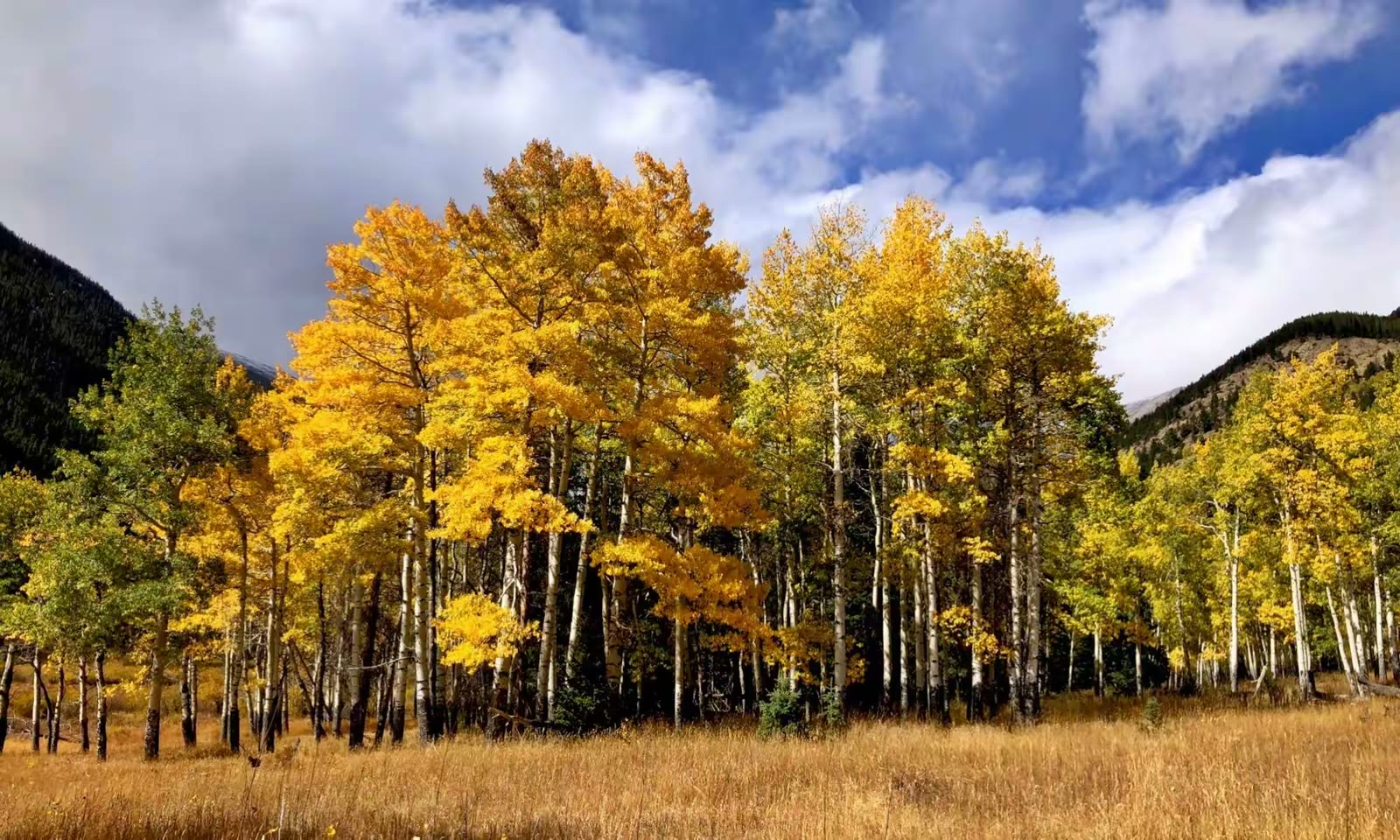 Rocky Mountain National Park(洛基山国家公园)