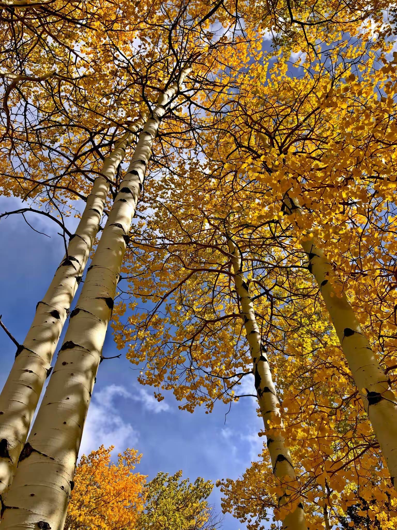 Rocky Mountain National Park(洛基山国家公园)