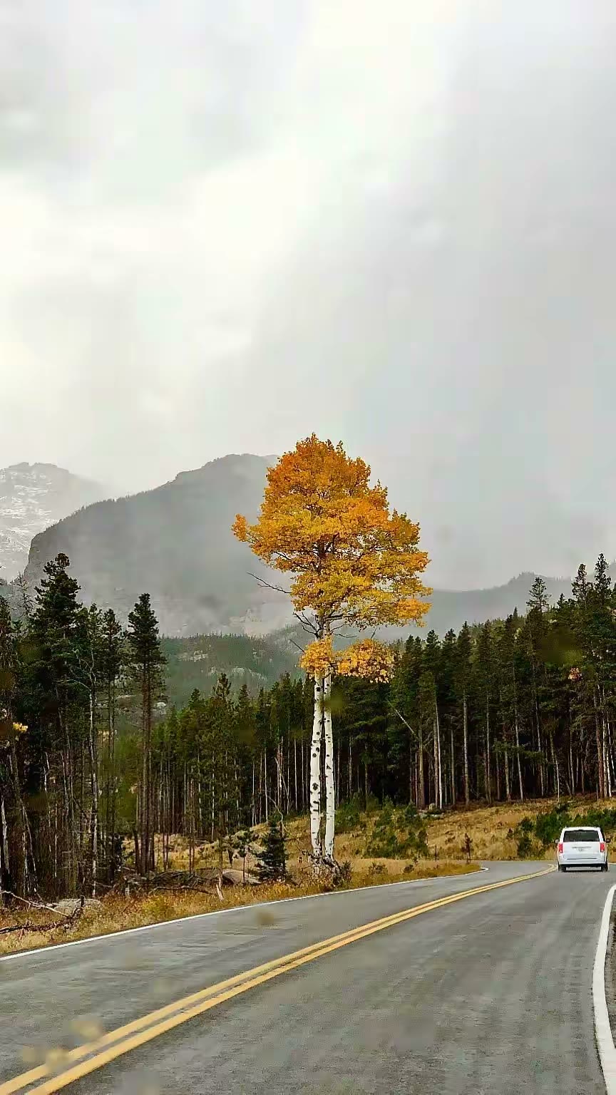 Rocky Mountain National Park(洛基山国家公园)