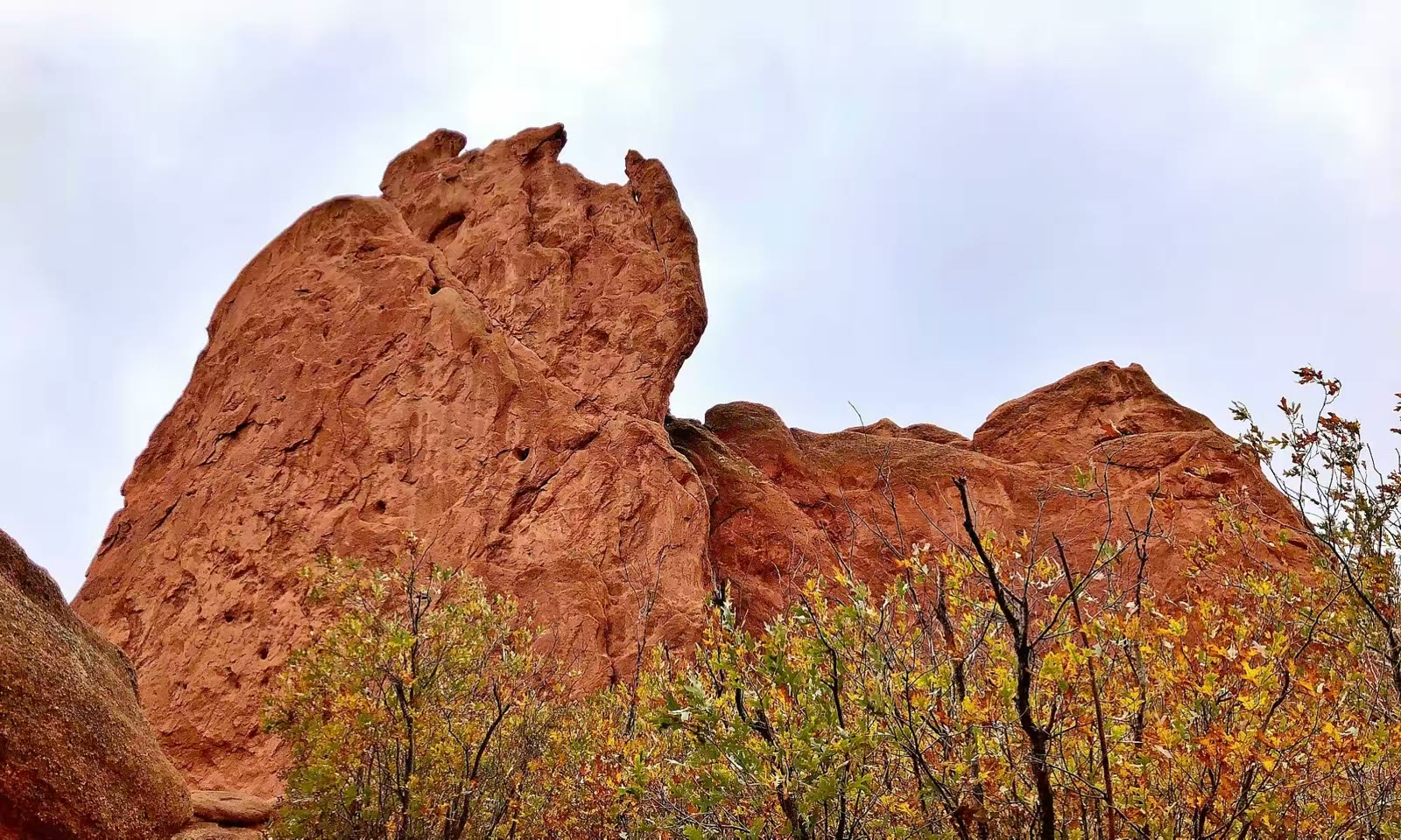 Garden of The Gods