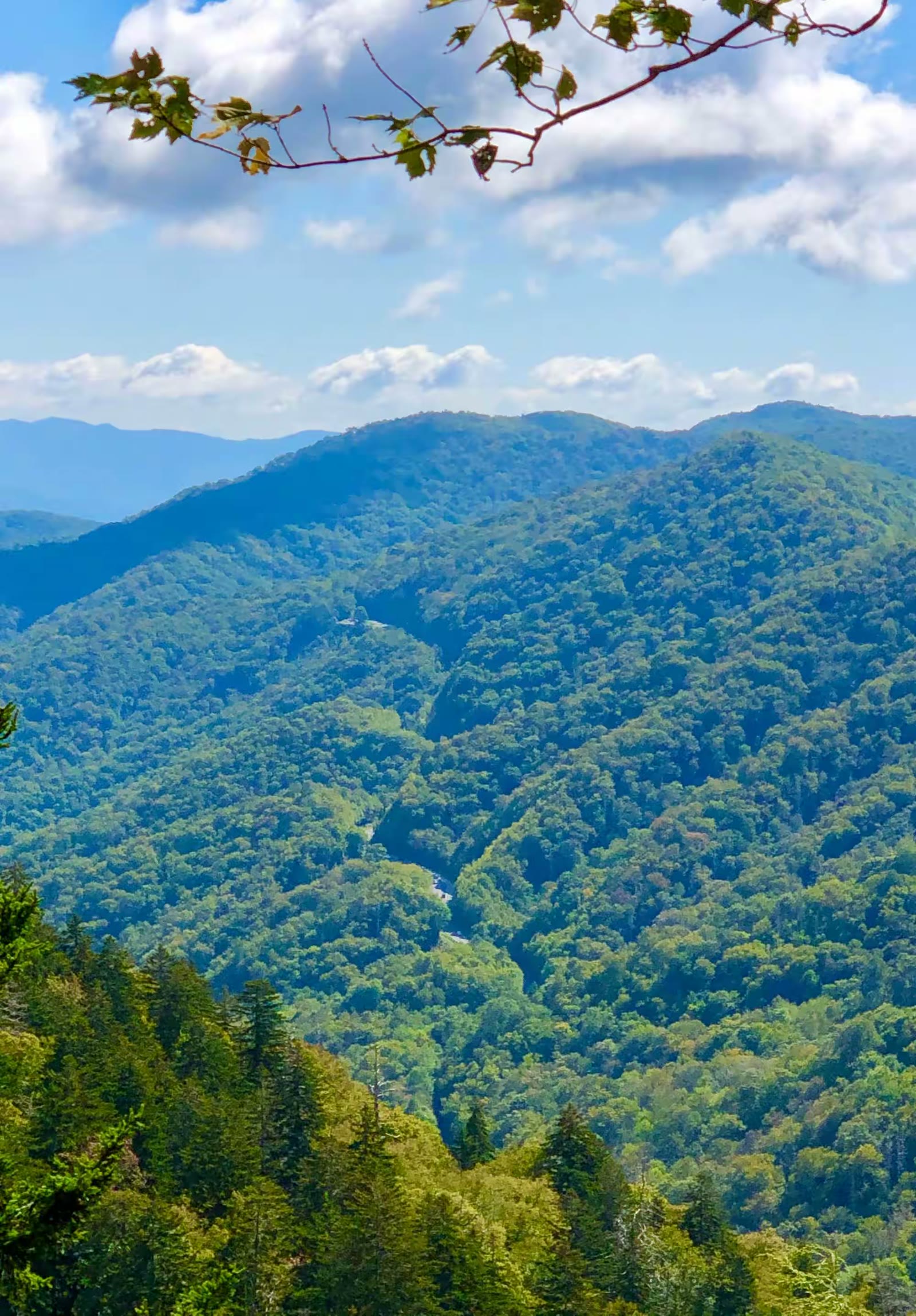 秋游大雾山