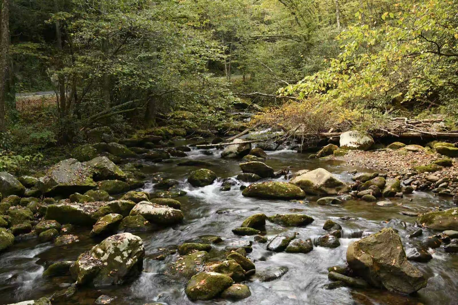 秋游大雾山