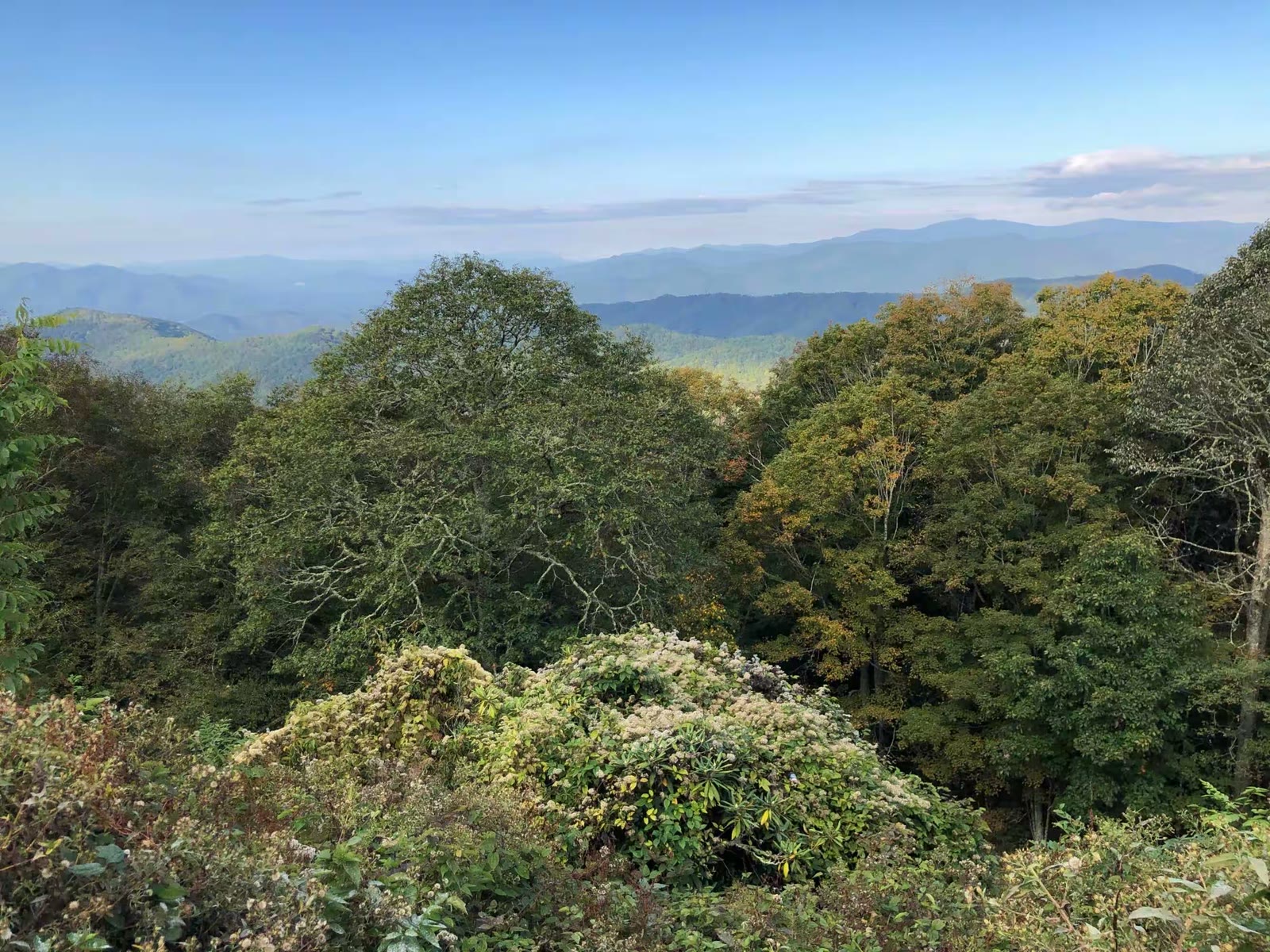 秋游大雾山