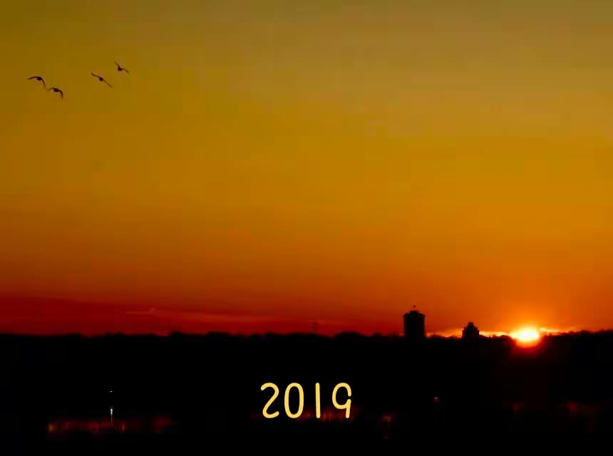 我的2019年