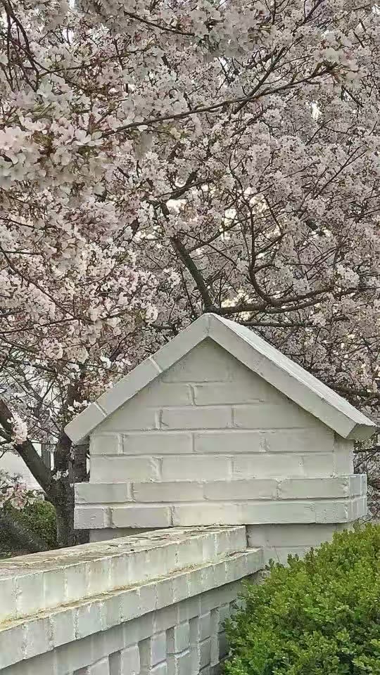 四季既景