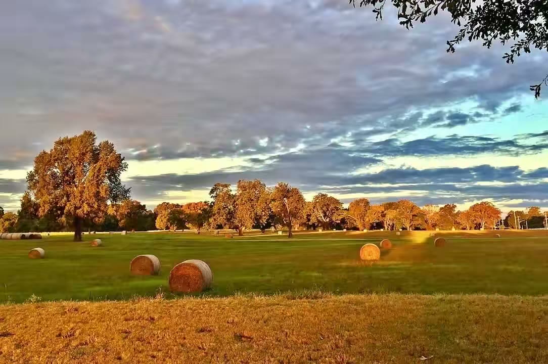 四季既景
