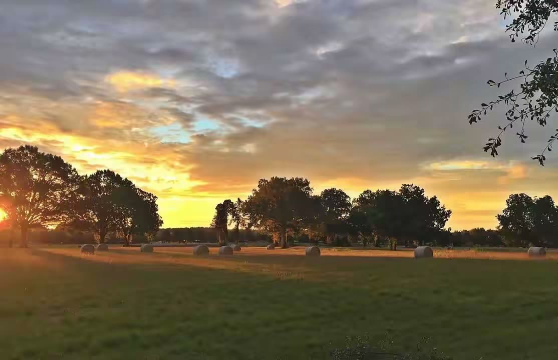 四季既景
