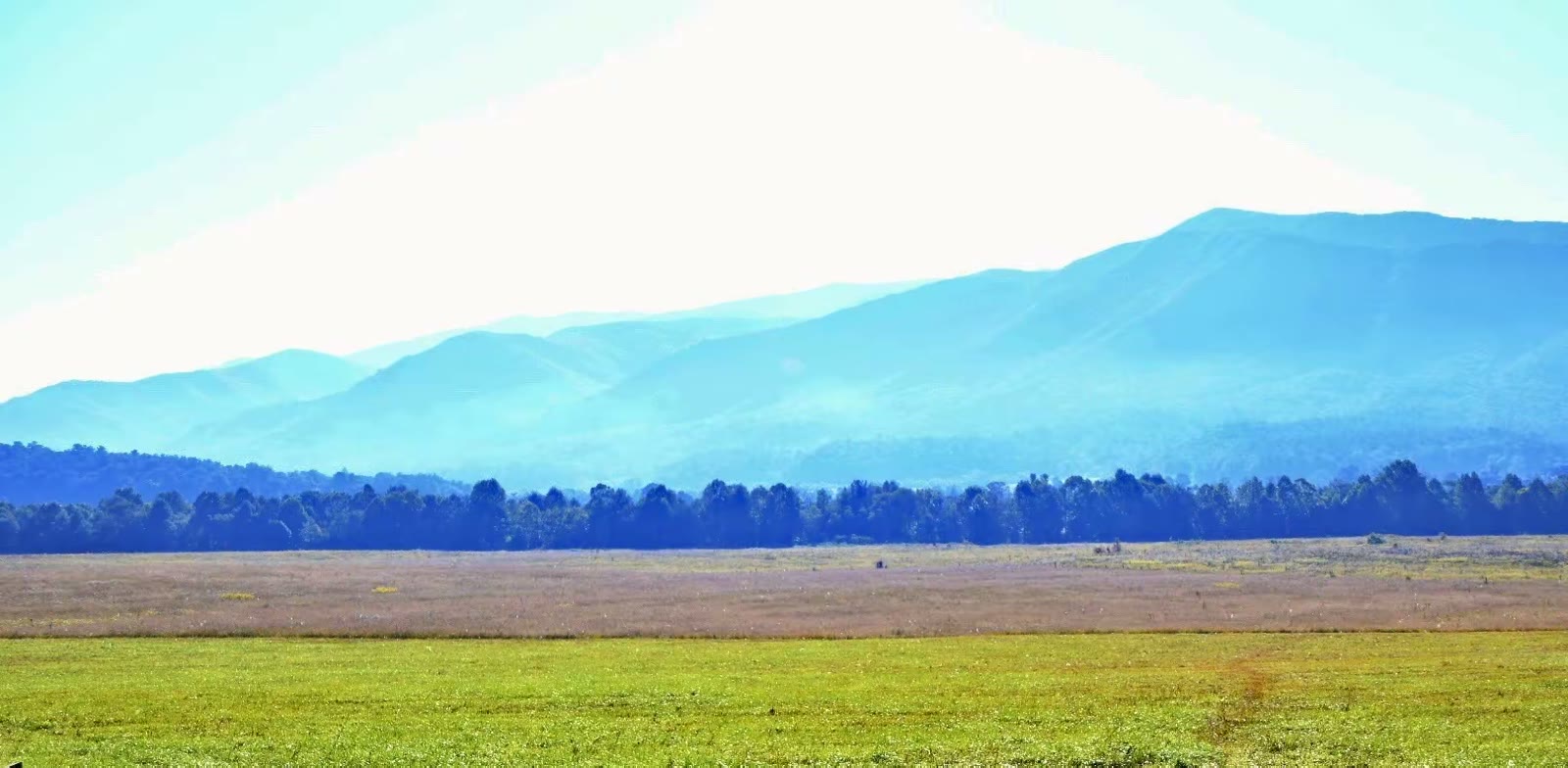 Cades Cove