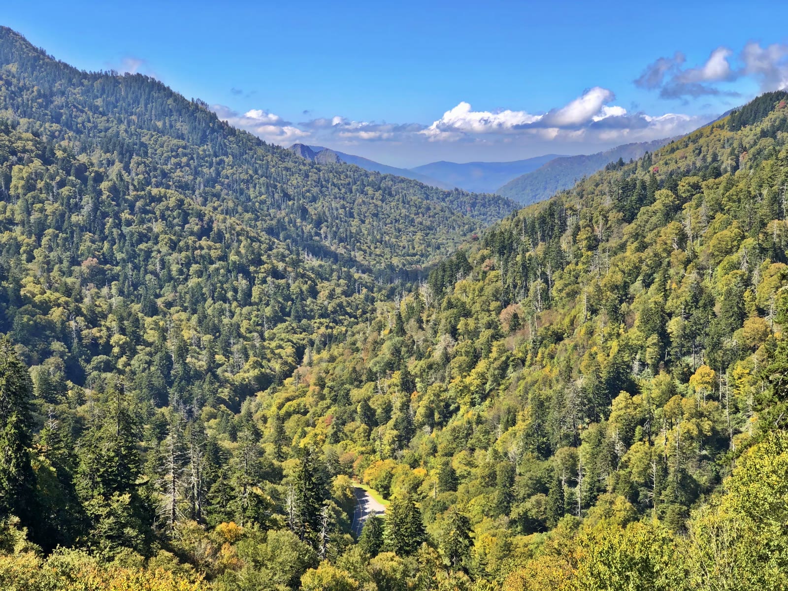 大烟山-蓝岭公路-仙纳度秋假游汇集
