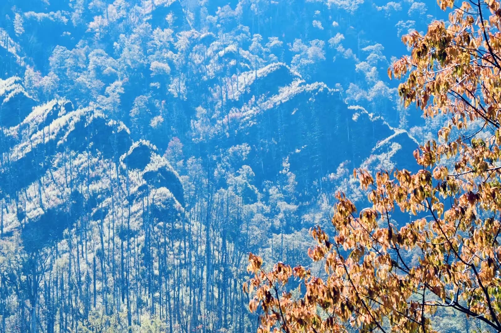 大烟山-蓝岭公路-仙纳度秋假游汇集