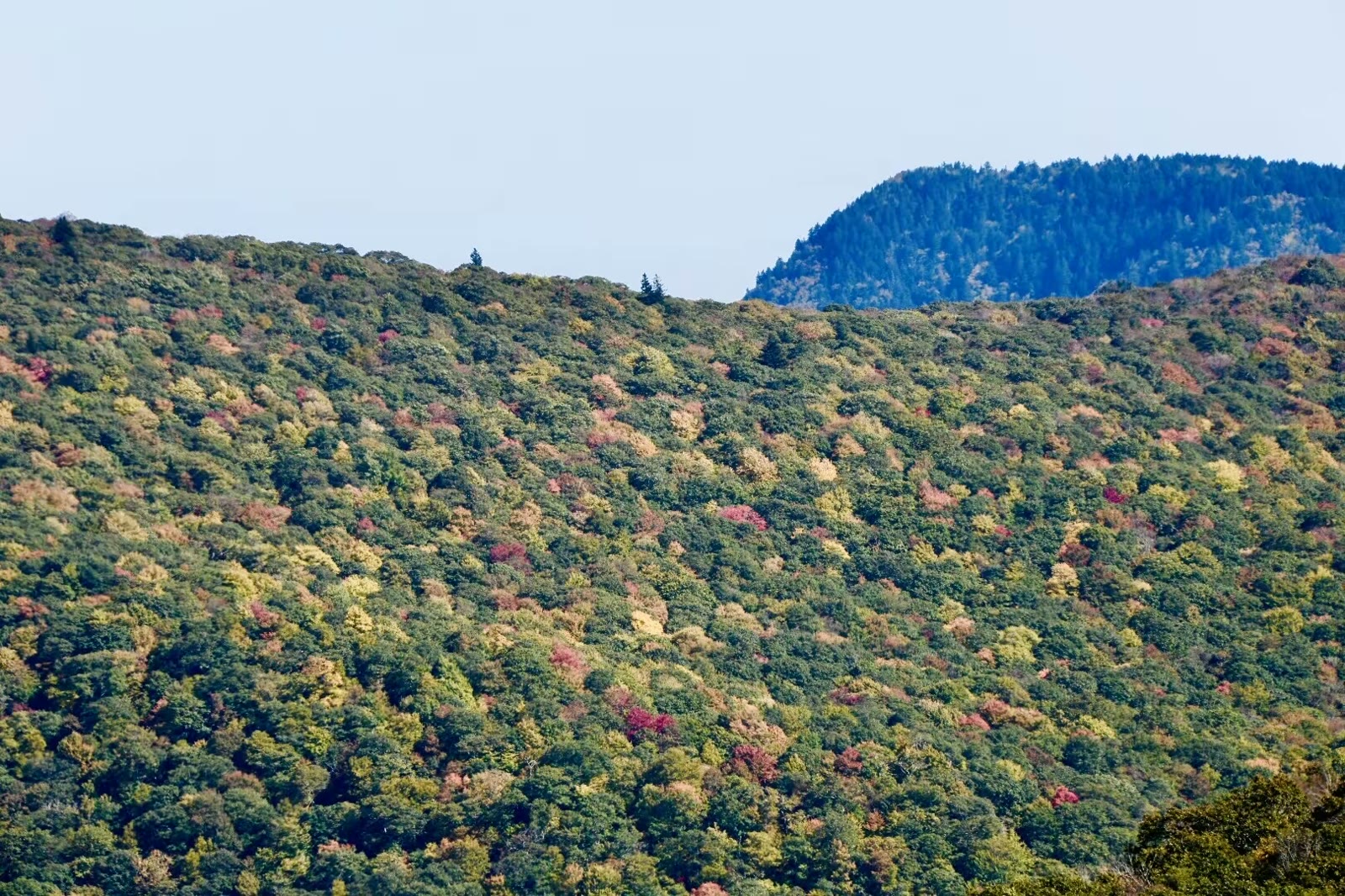 大烟山-蓝岭公路-仙纳度秋假游汇集