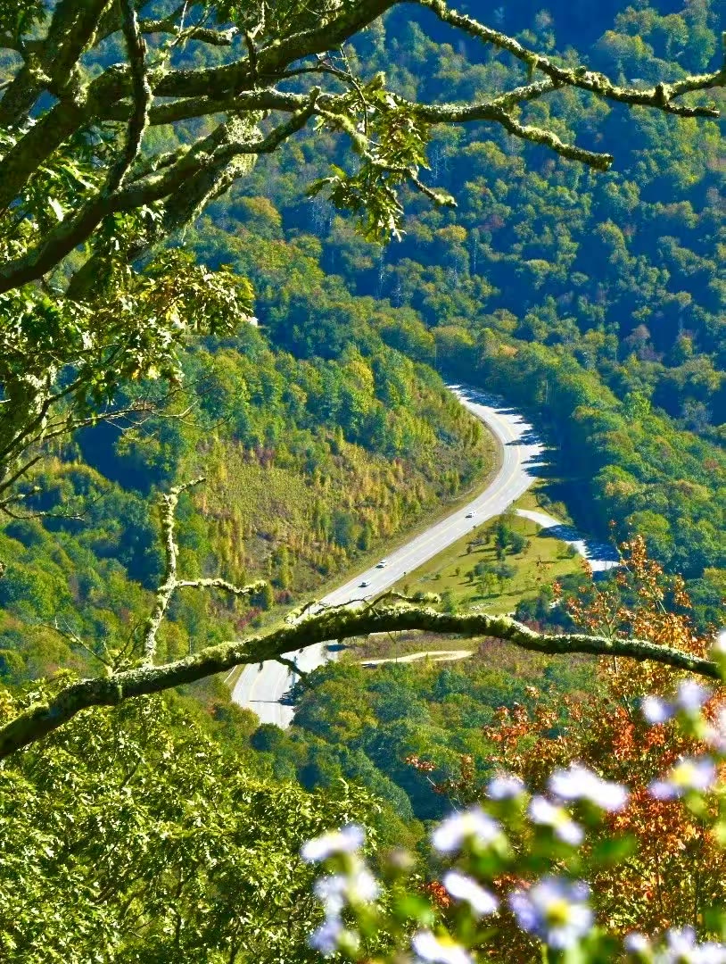 大烟山-蓝岭公路-仙纳度秋假游汇集