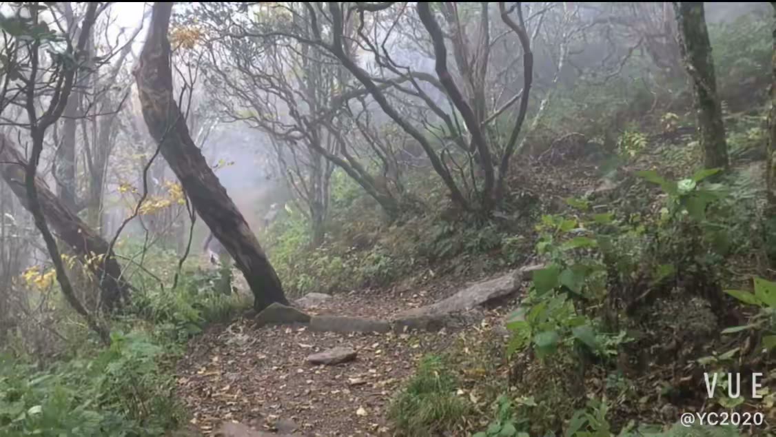 大烟山-蓝岭公路-仙纳度秋假游汇集