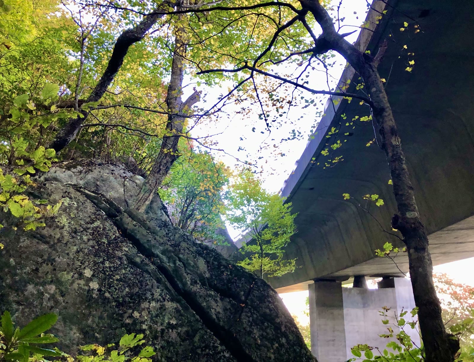 大烟山-蓝岭公路-仙纳度秋假游汇集