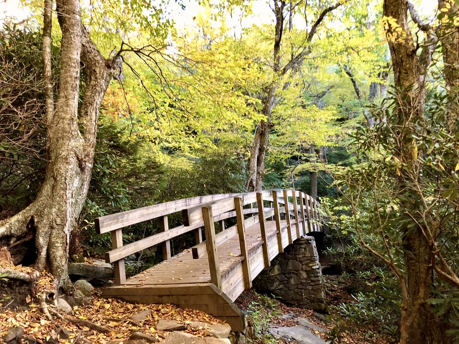 大烟山-蓝岭公路-仙纳度秋假游汇集