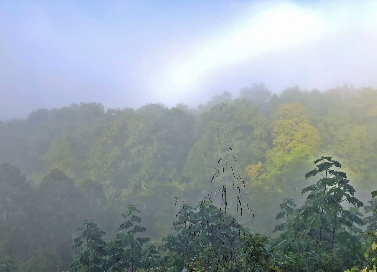 大烟山-蓝岭公路-仙纳度秋假游汇集