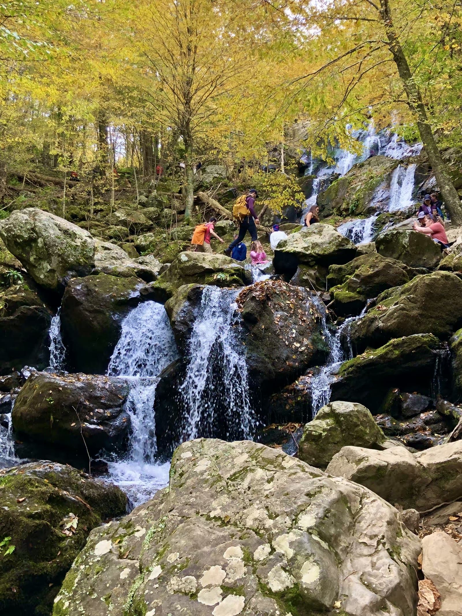 大烟山-蓝岭公路-仙纳度秋假游汇集