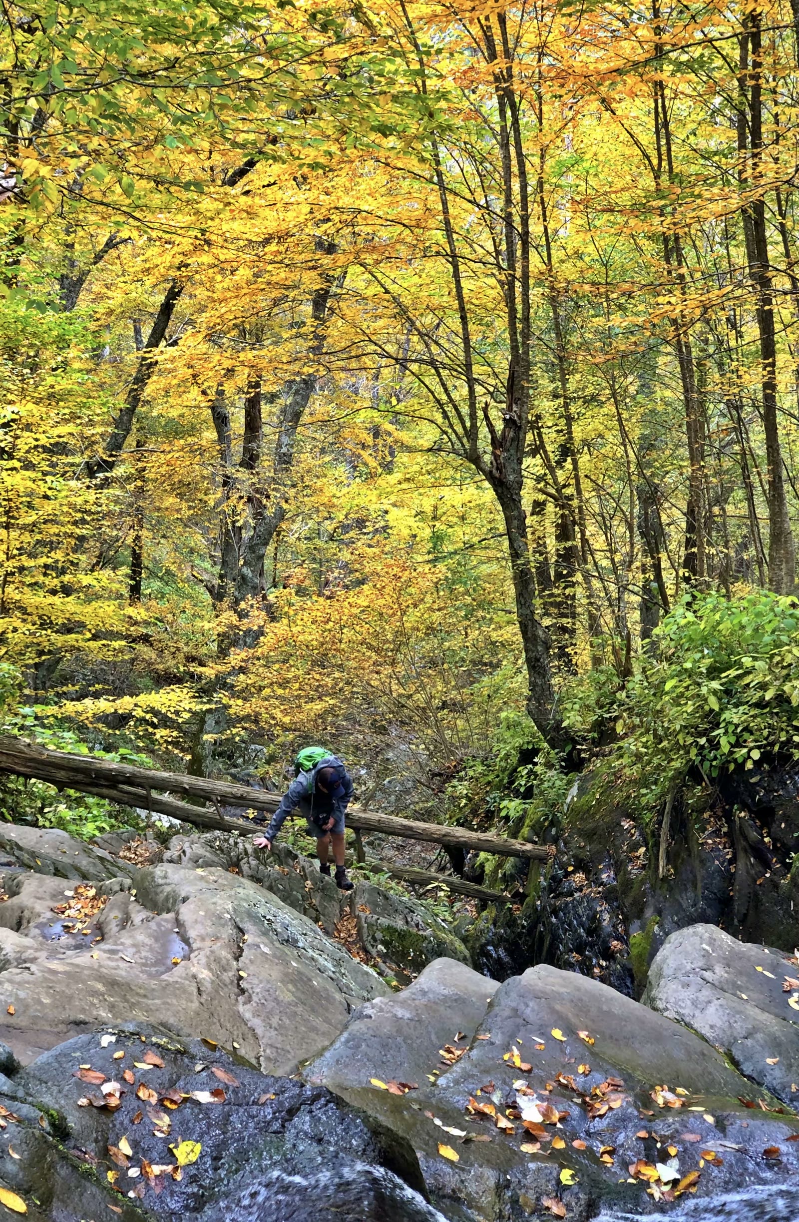 大烟山-蓝岭公路-仙纳度秋假游汇集