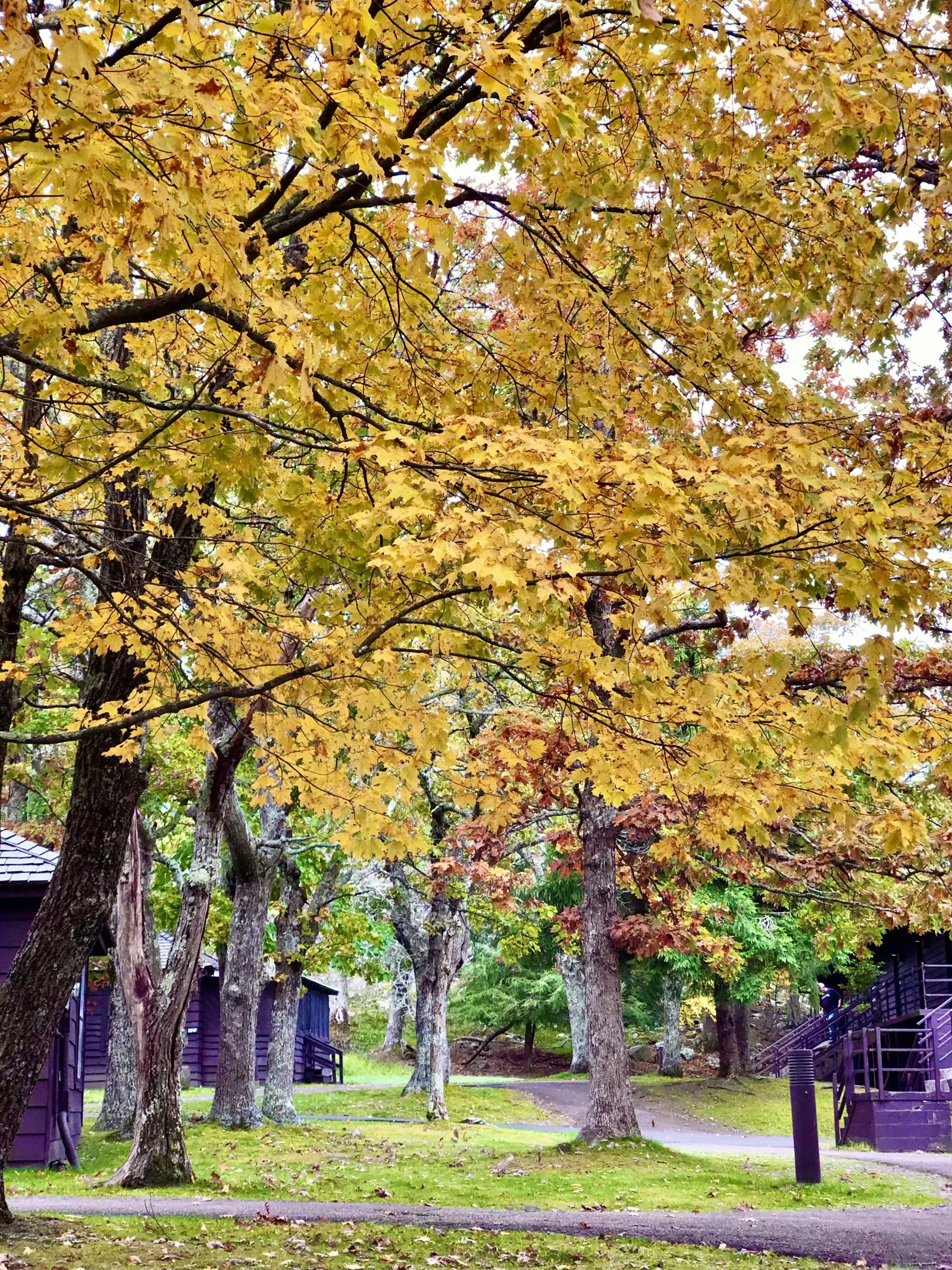 大烟山-蓝岭公路-仙纳度秋假游汇集