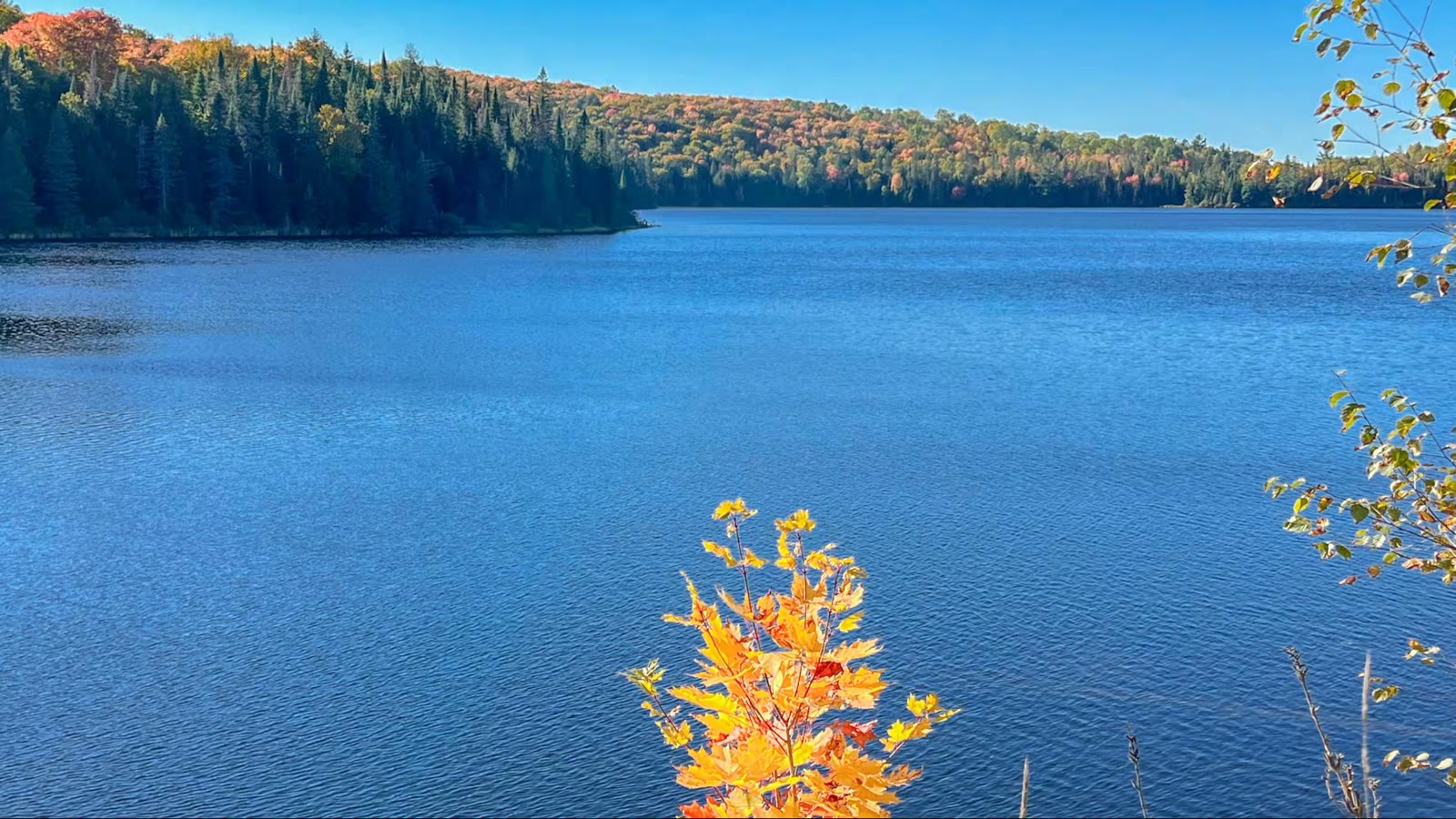 美加秋日湖景