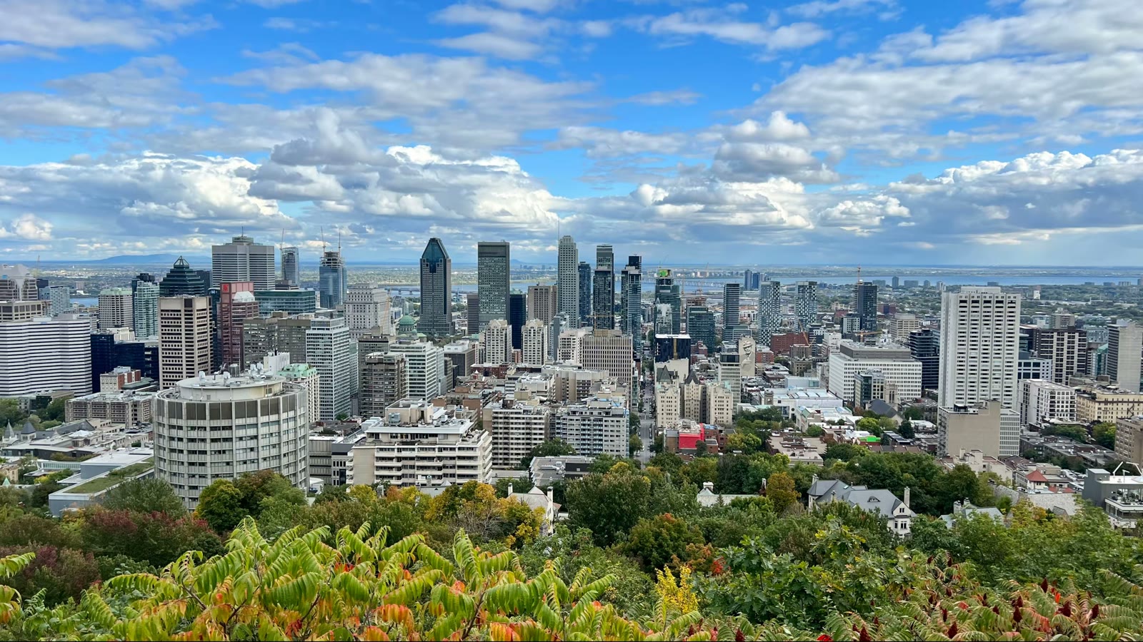 蒙特利尔市的皇家山观景平台