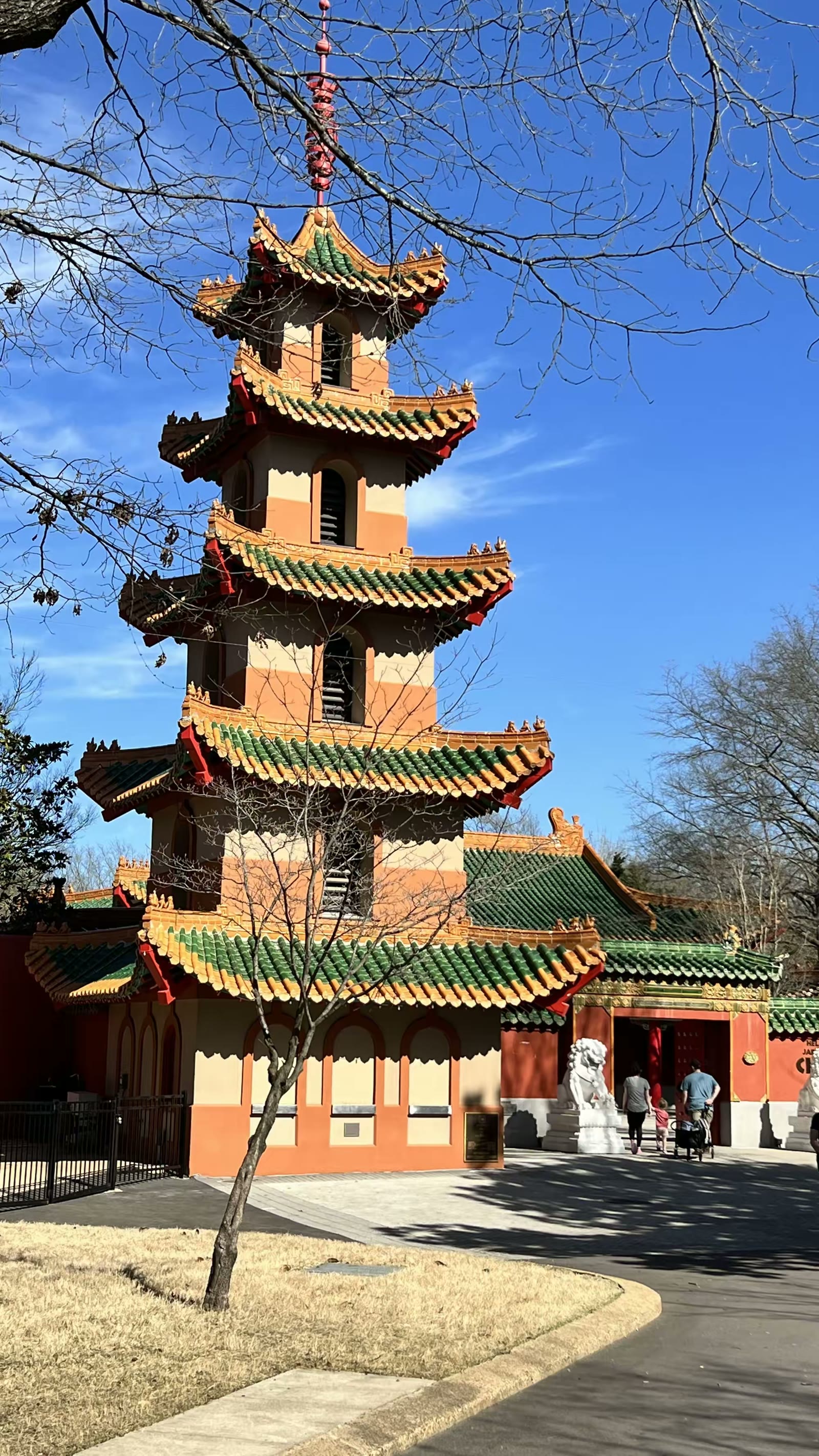孟菲斯动物园的大熊猫 乐乐和丫丫