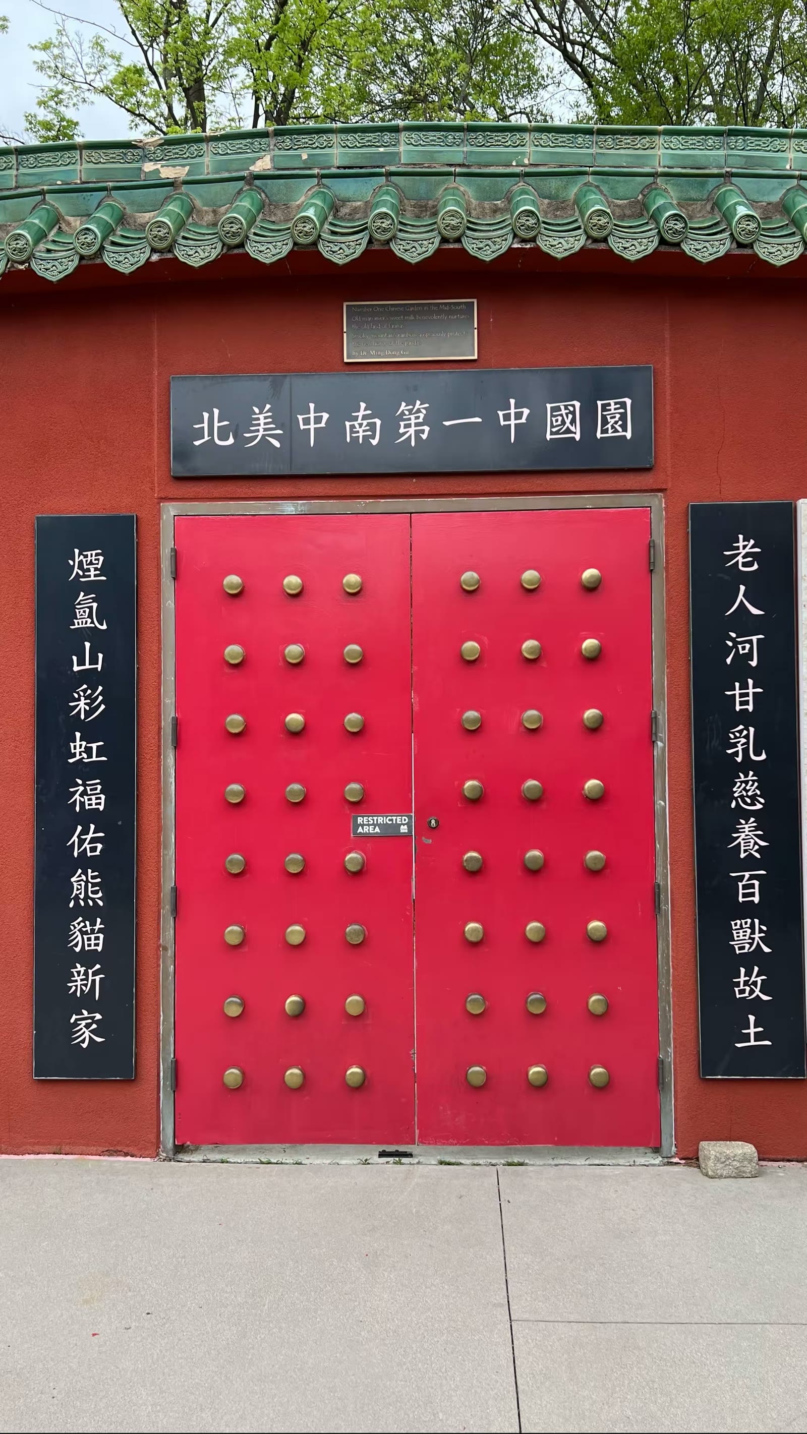 孟菲斯动物园的大熊猫 乐乐和丫丫