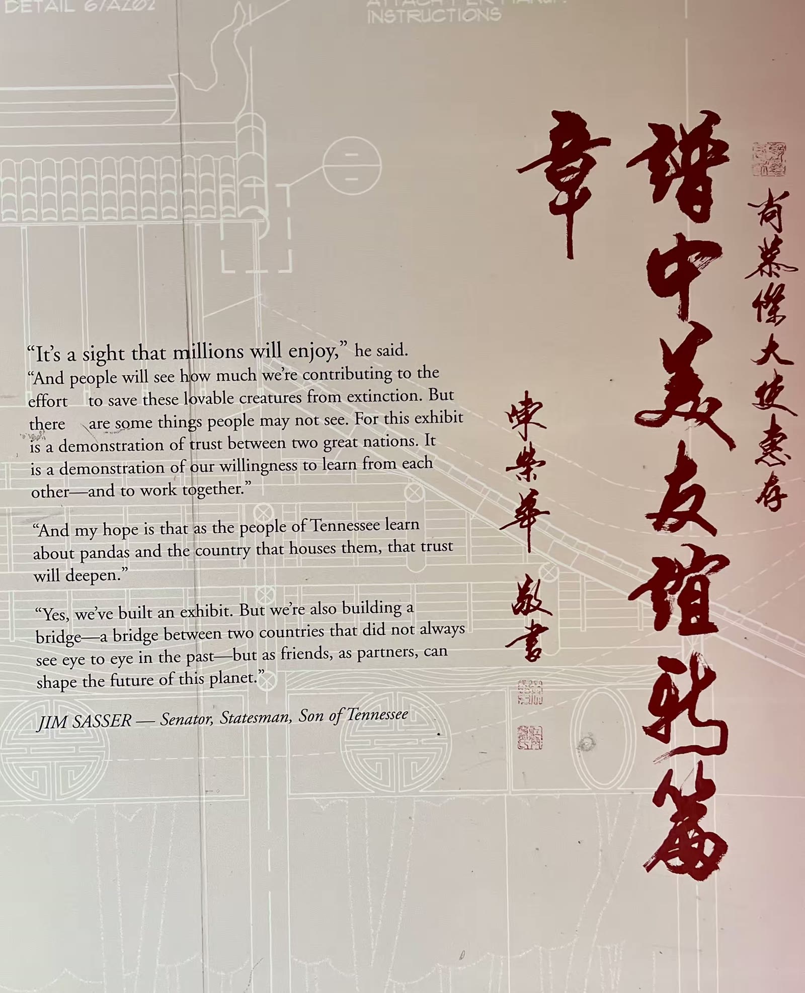 孟菲斯动物园的大熊猫 乐乐和丫丫