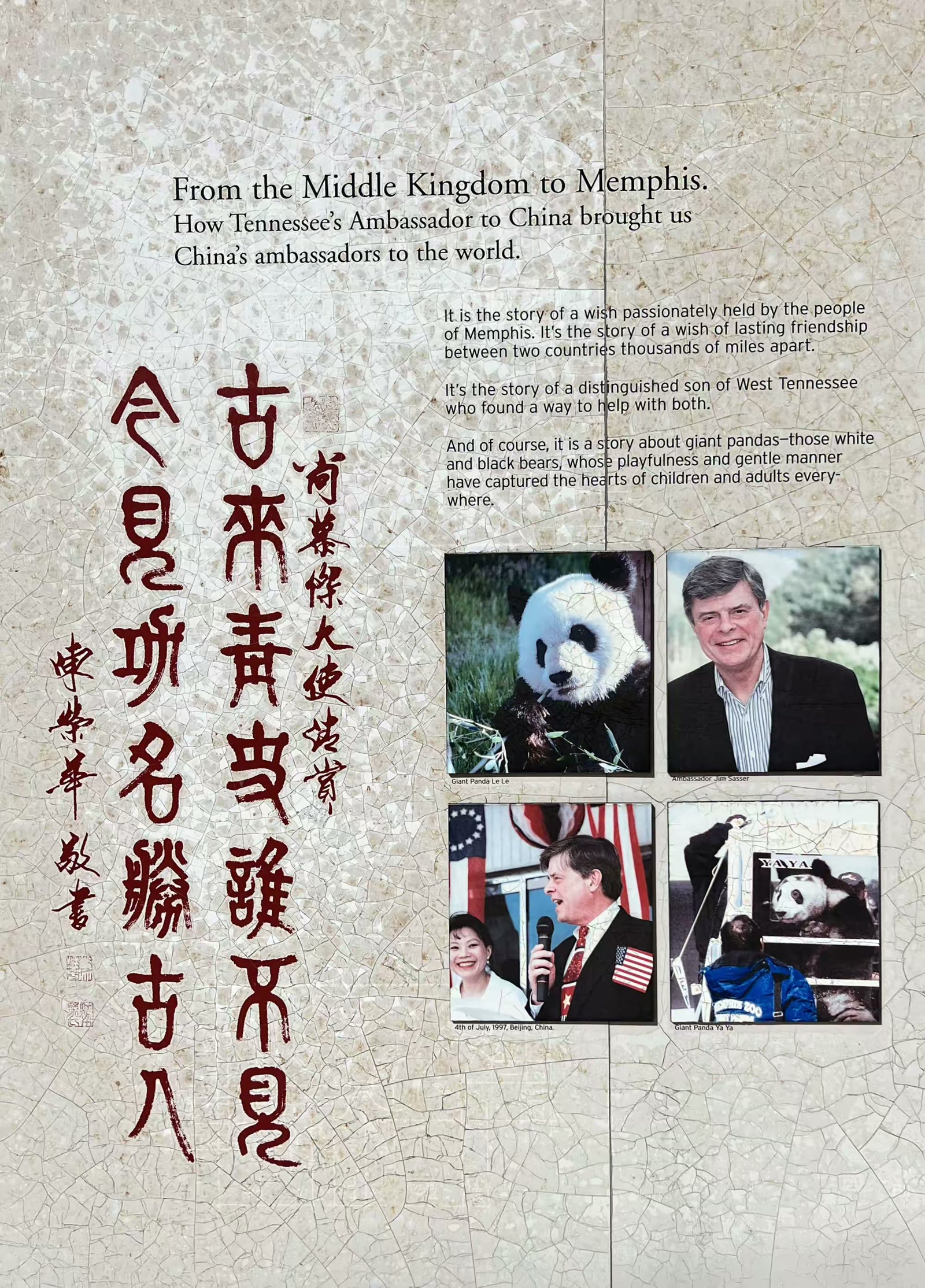 孟菲斯动物园的大熊猫 乐乐和丫丫