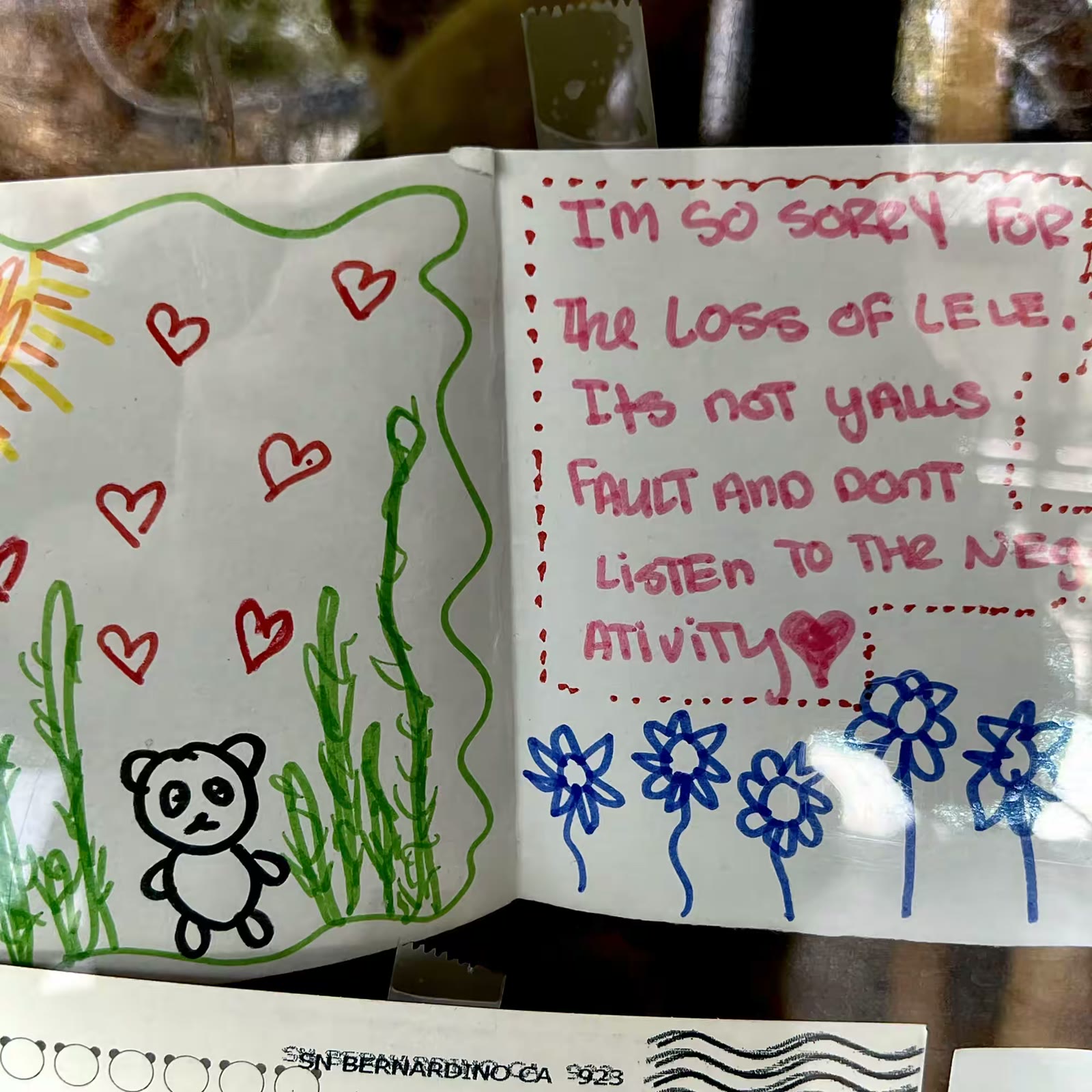 孟菲斯动物园的大熊猫 乐乐和丫丫
