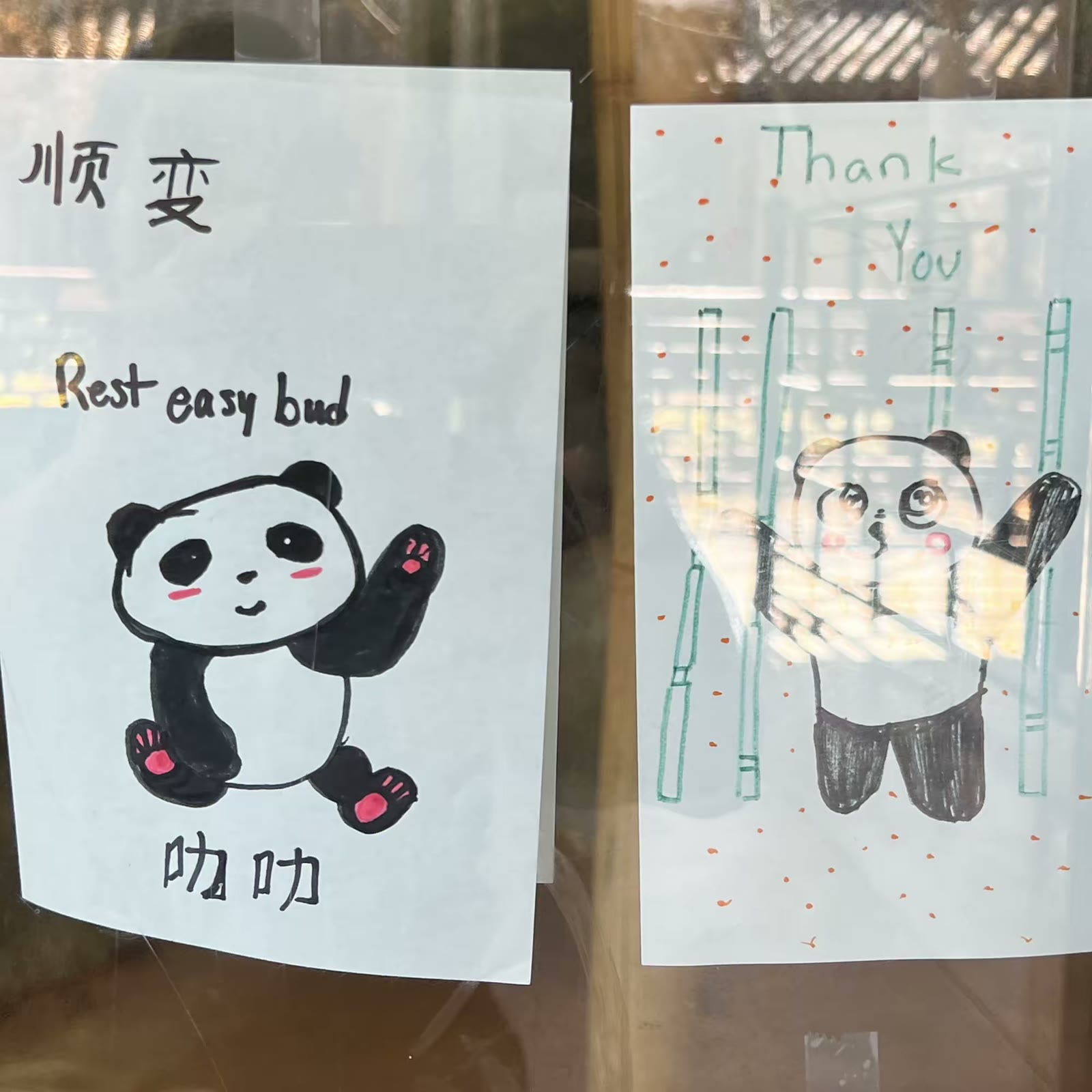 孟菲斯动物园的大熊猫 乐乐和丫丫