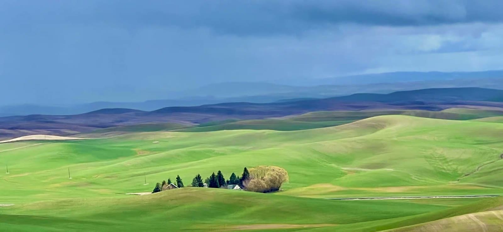 春游麦田