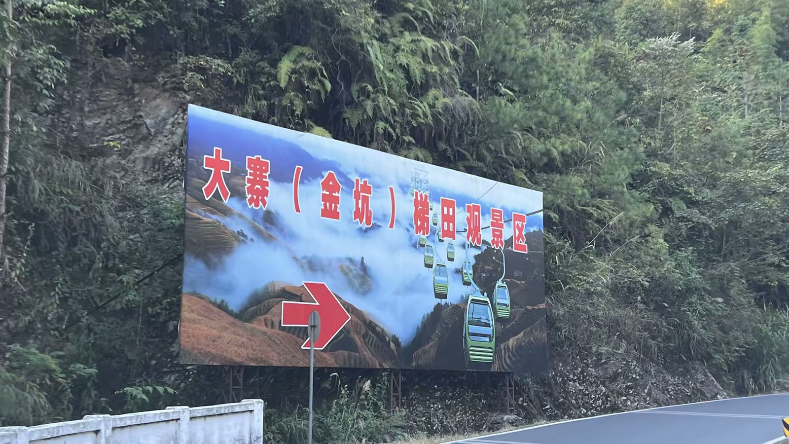 金色梯田