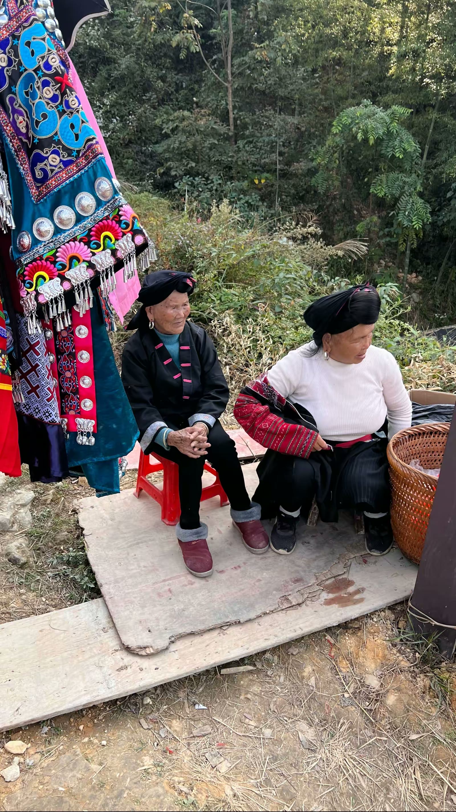 金色梯田