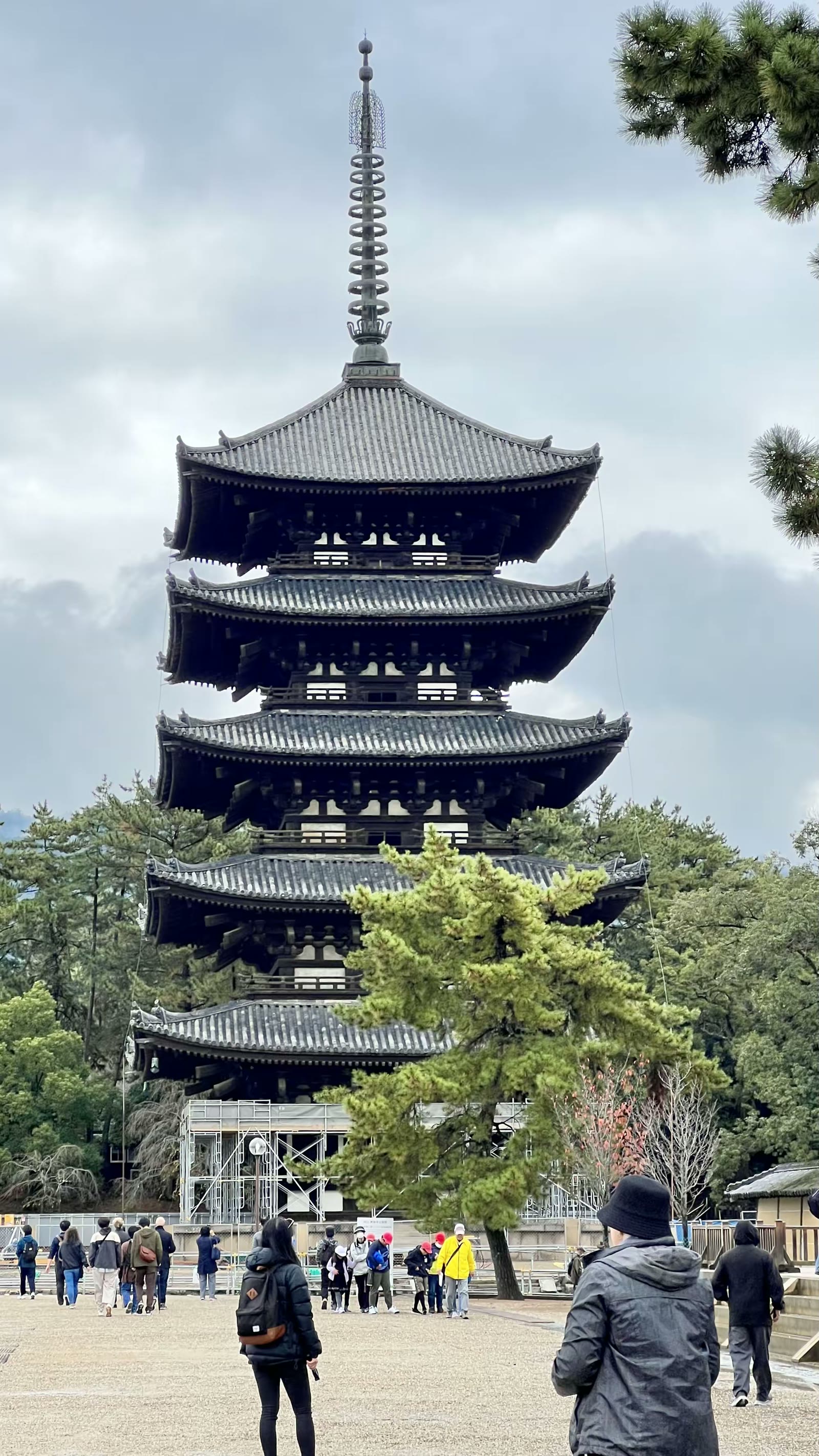 日本奈良行：鹿、春日大社