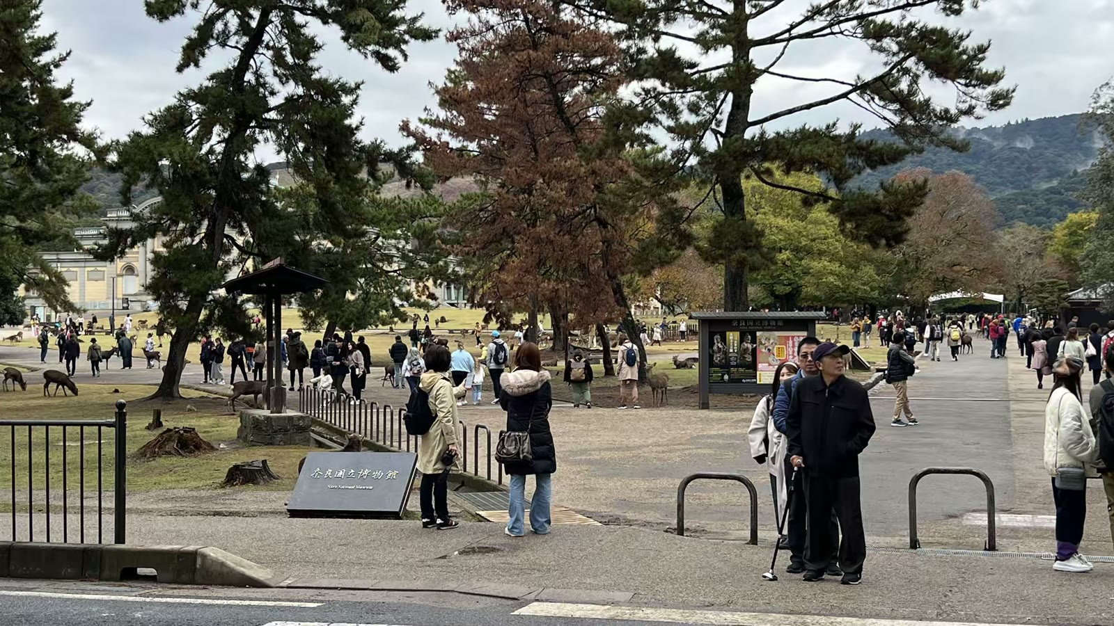 日本奈良行：鹿、春日大社
