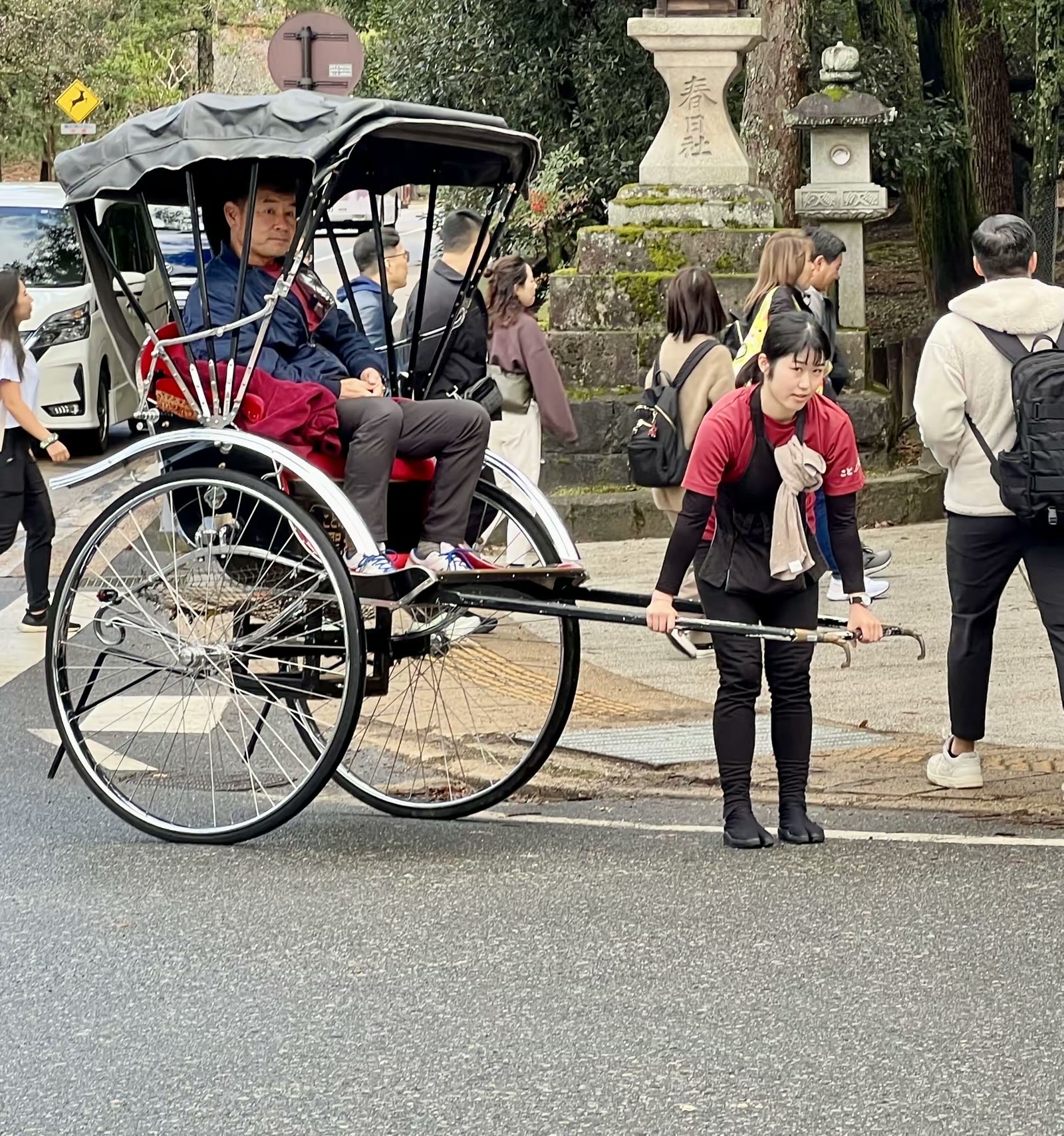 日本奈良行：鹿、春日大社